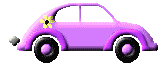 VW Bug