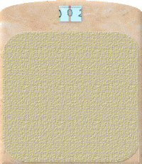 Bathroom Scale