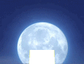 background cutout